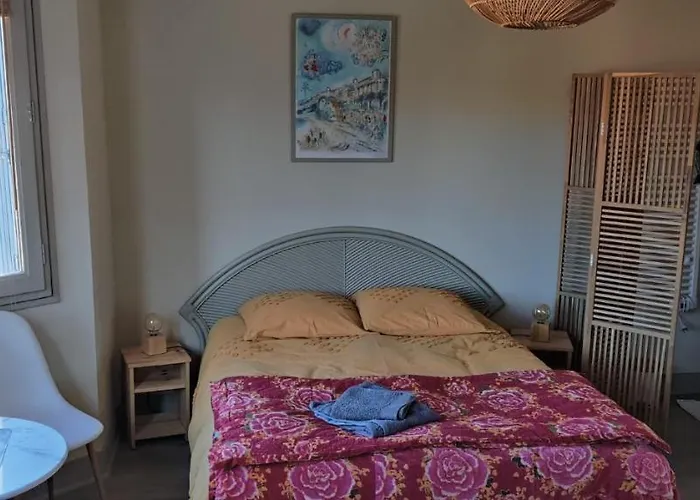 Séjour chez l'habitant Spacieuse Dans Maison Art Deco Au Centre De Toulouse