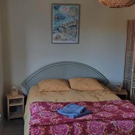 Privat bolig Spacieuse Dans Maison Art Deco Au Centre De Toulouse